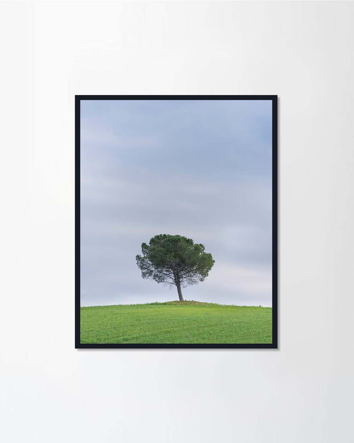 Tree on a hill