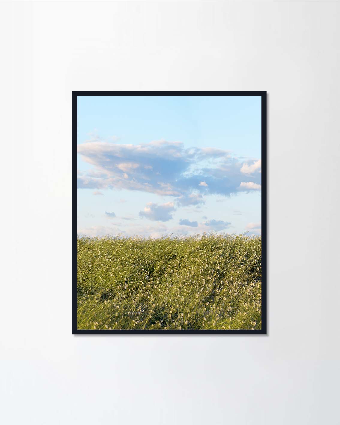 Andalucia, Spain, 2019.