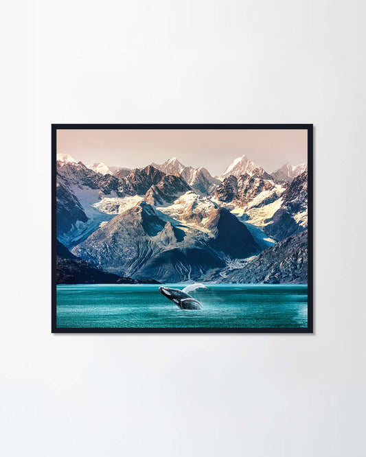 Alaska whale