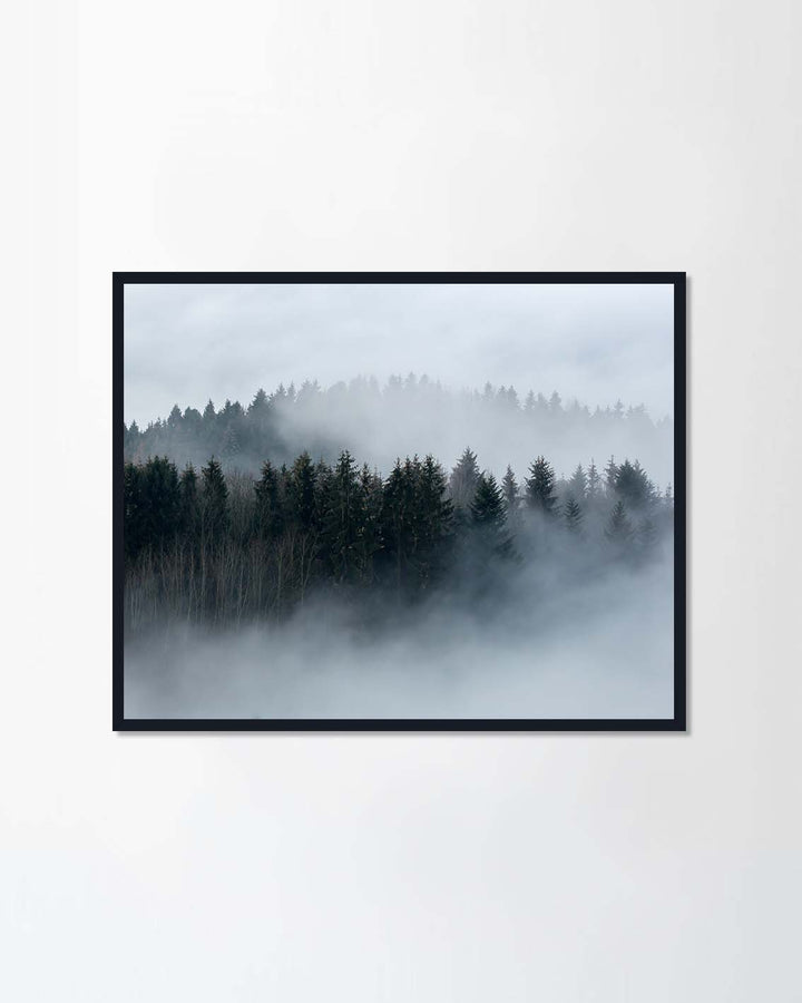 Misty Foggy II