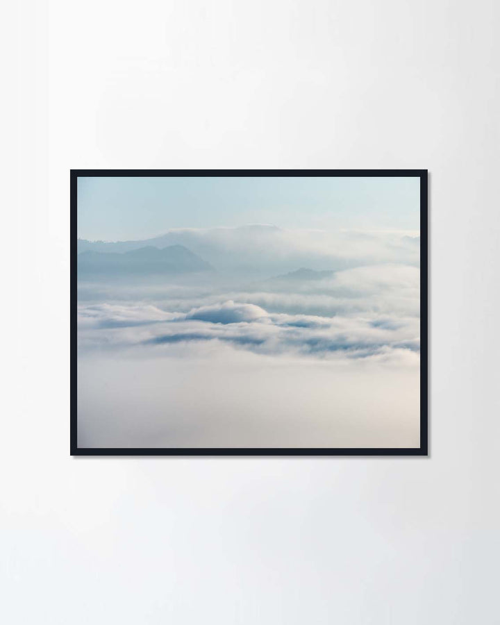 Fog above the forest