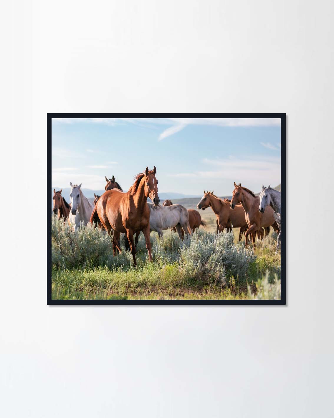 Colorful herd of ranch horses