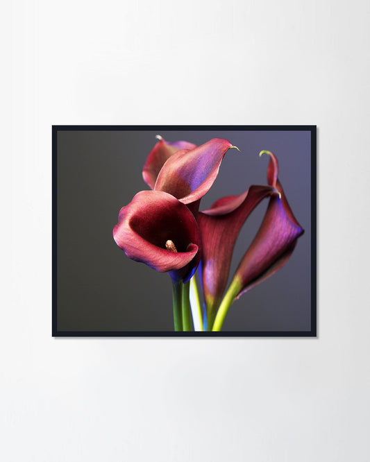 Acrylic Painting