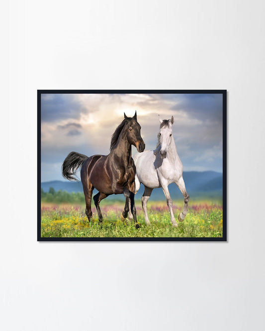 Two beautiful horse