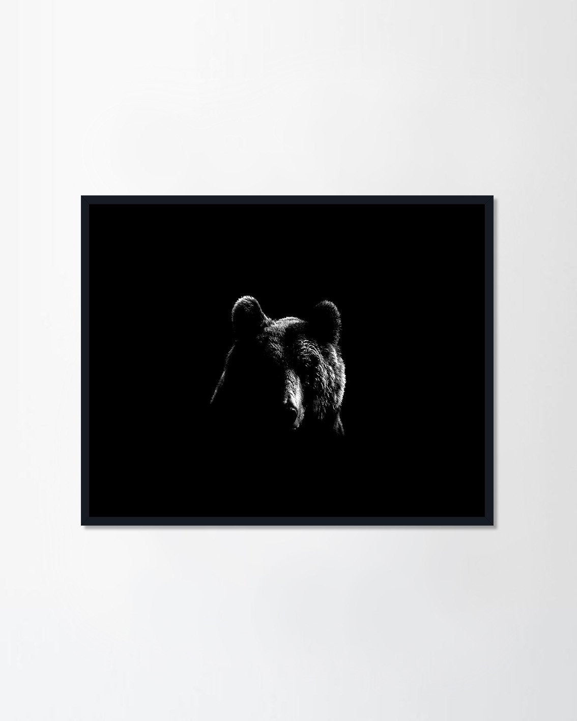 Bear on Black