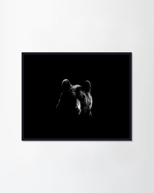 Bear on Black