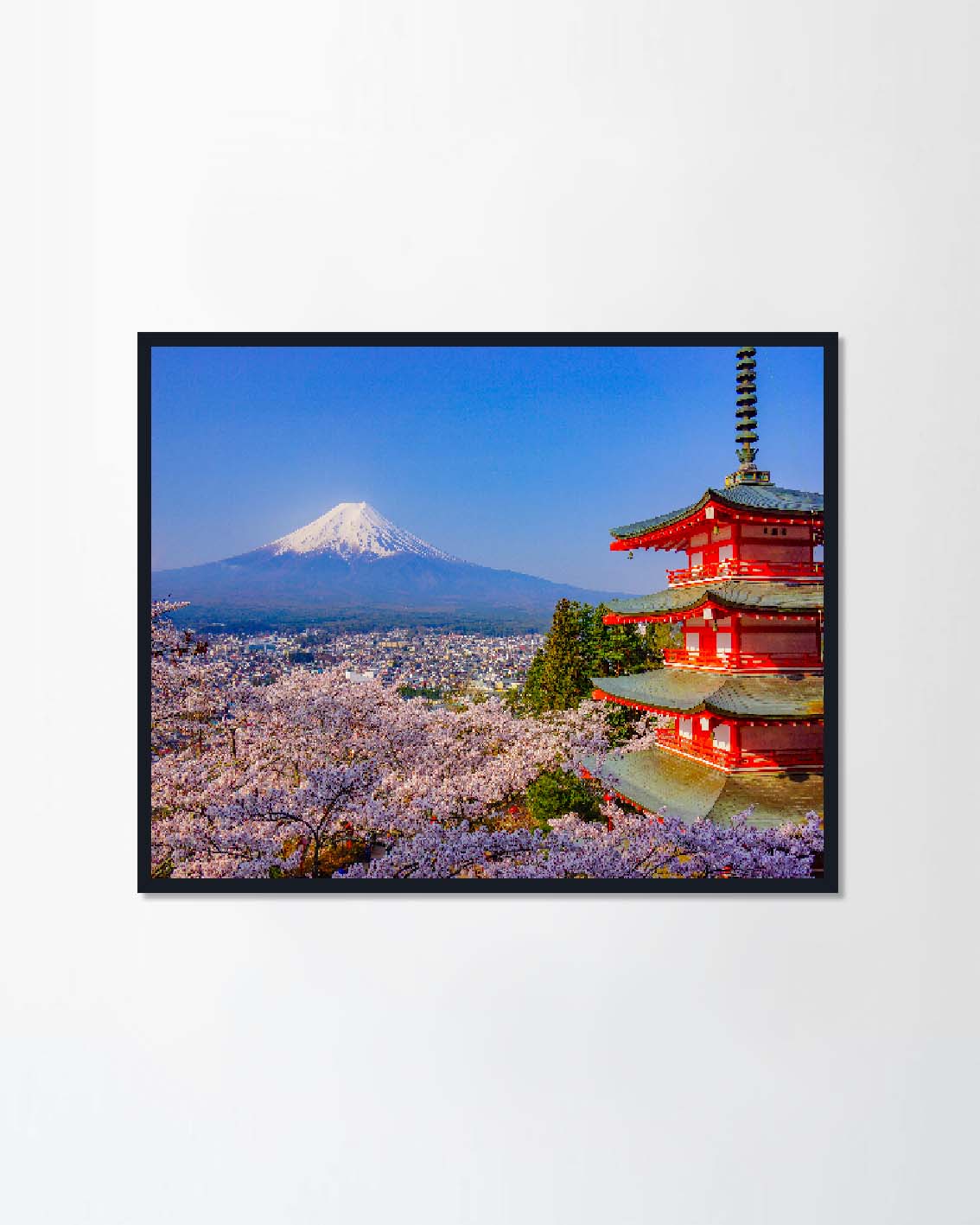 spring japan sakura (Canvas)