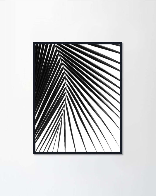 silhouette coconut leaf