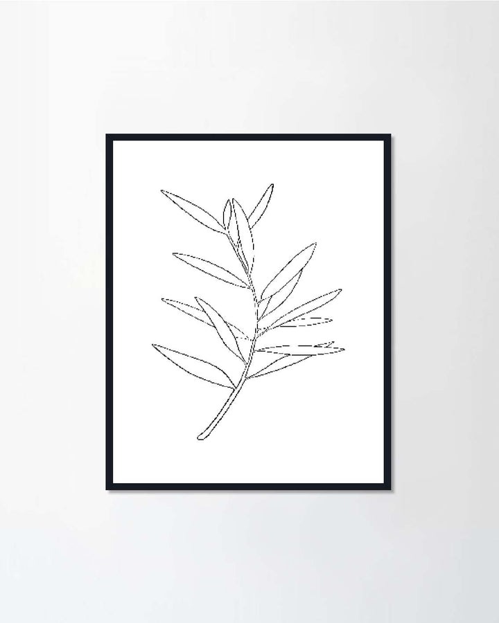 Vector sketch of olive