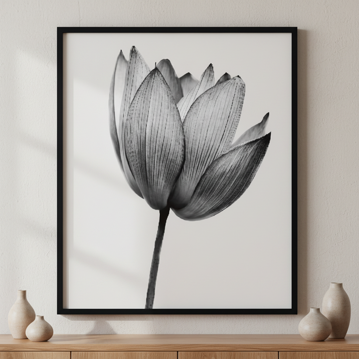black lotus