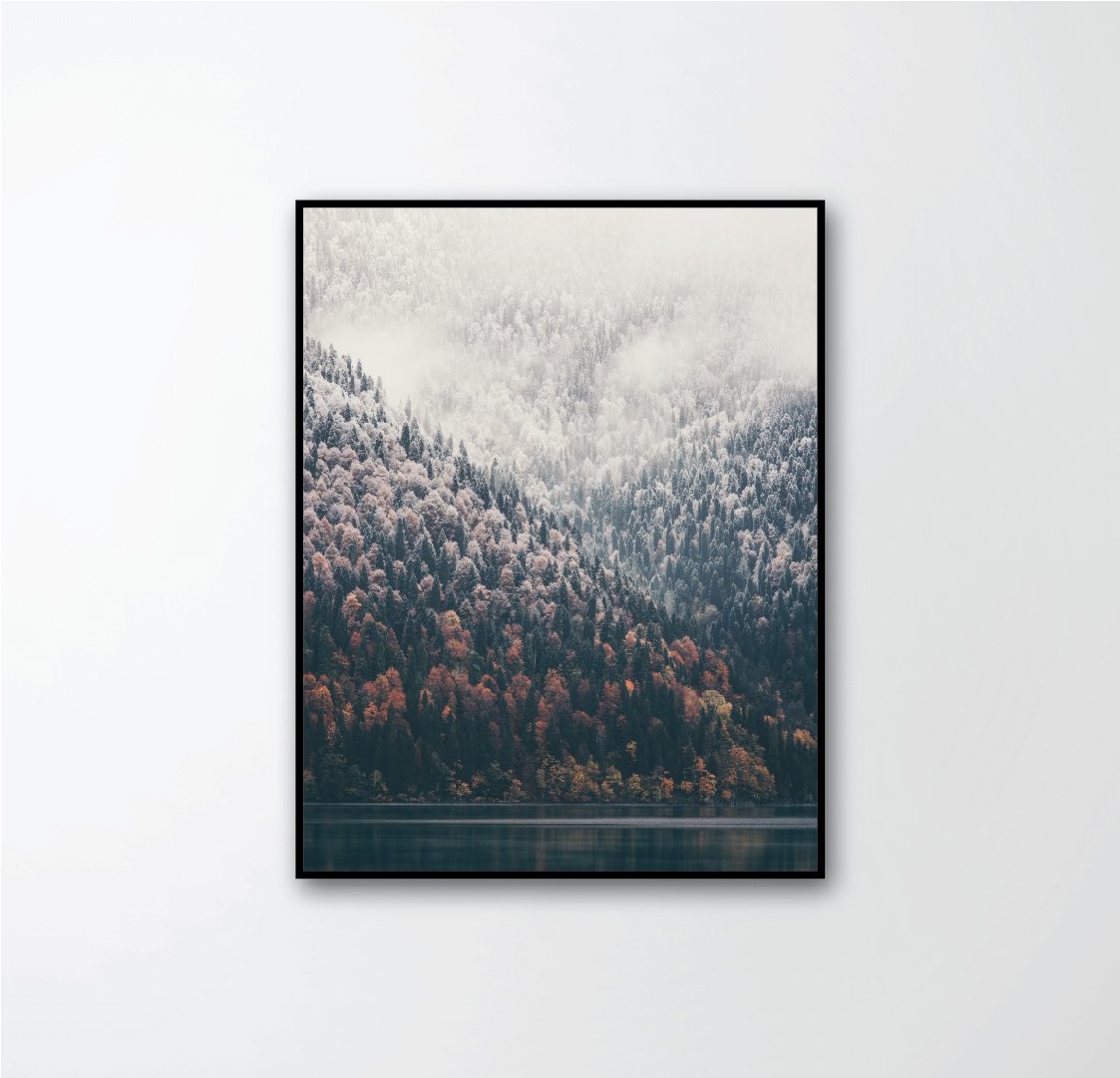 pine forest and lake fog