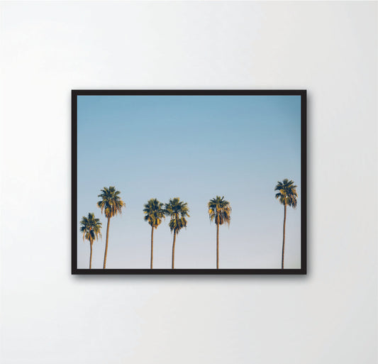 Tree Palm