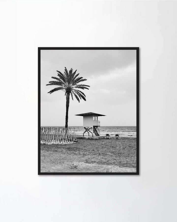 Beach with palm tree and life guard tower