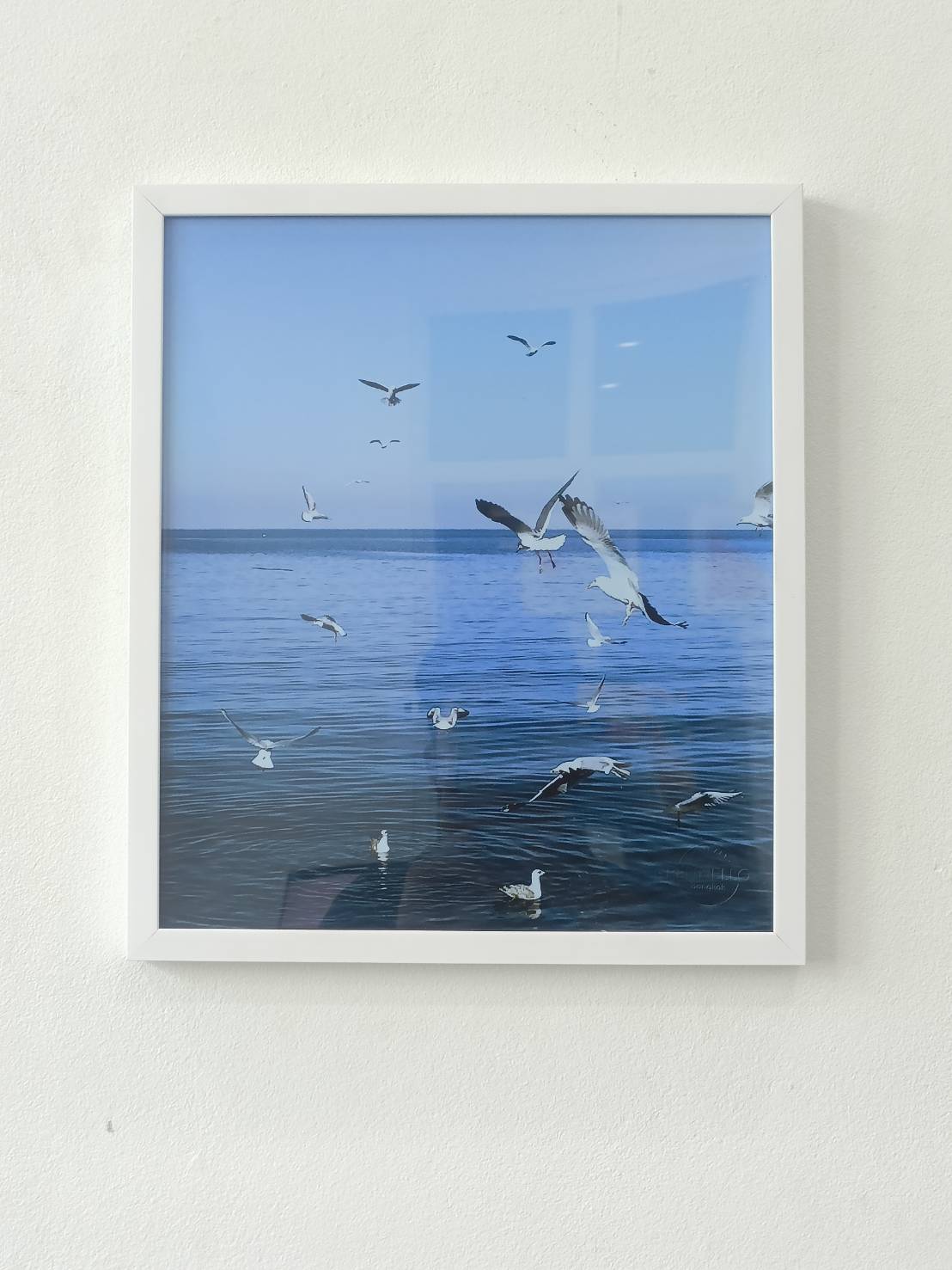 Seagulls flying over the sea