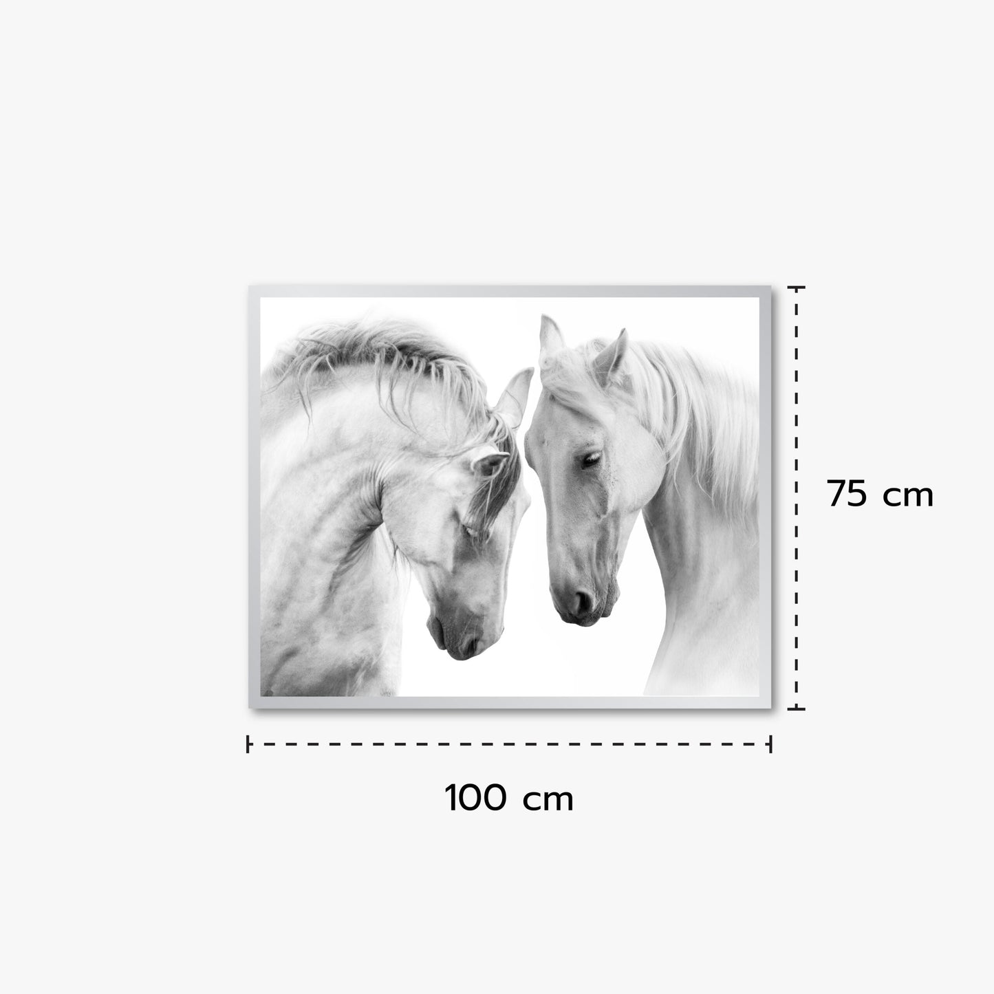 Black&White Two Hourse