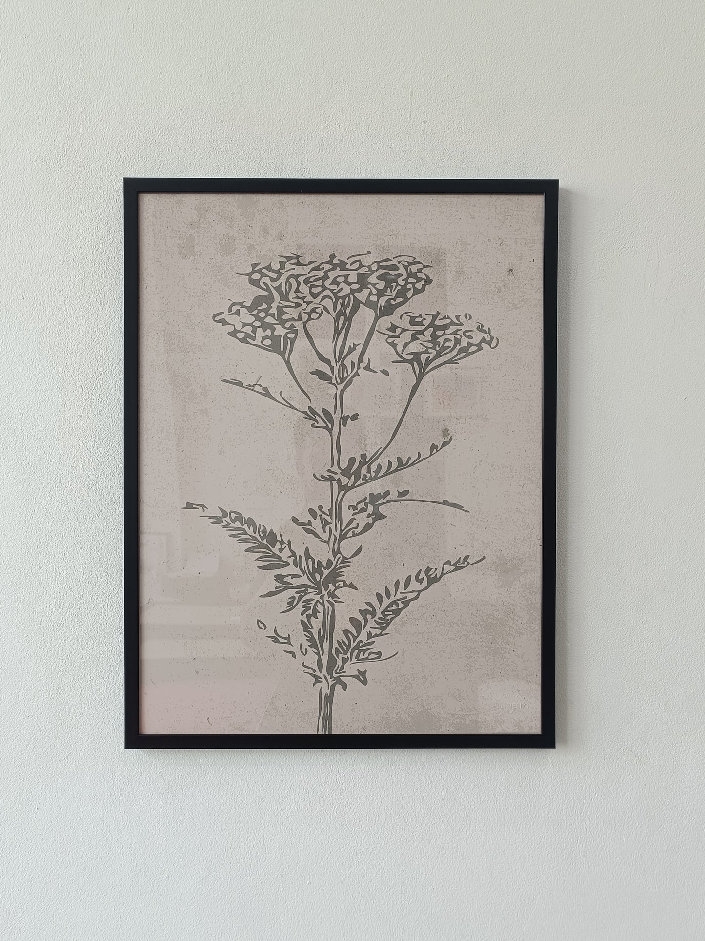 Set of botanical posters