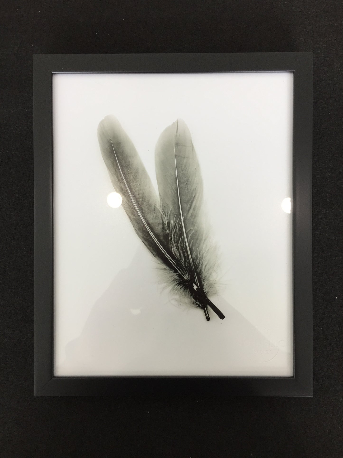 Black and White Art