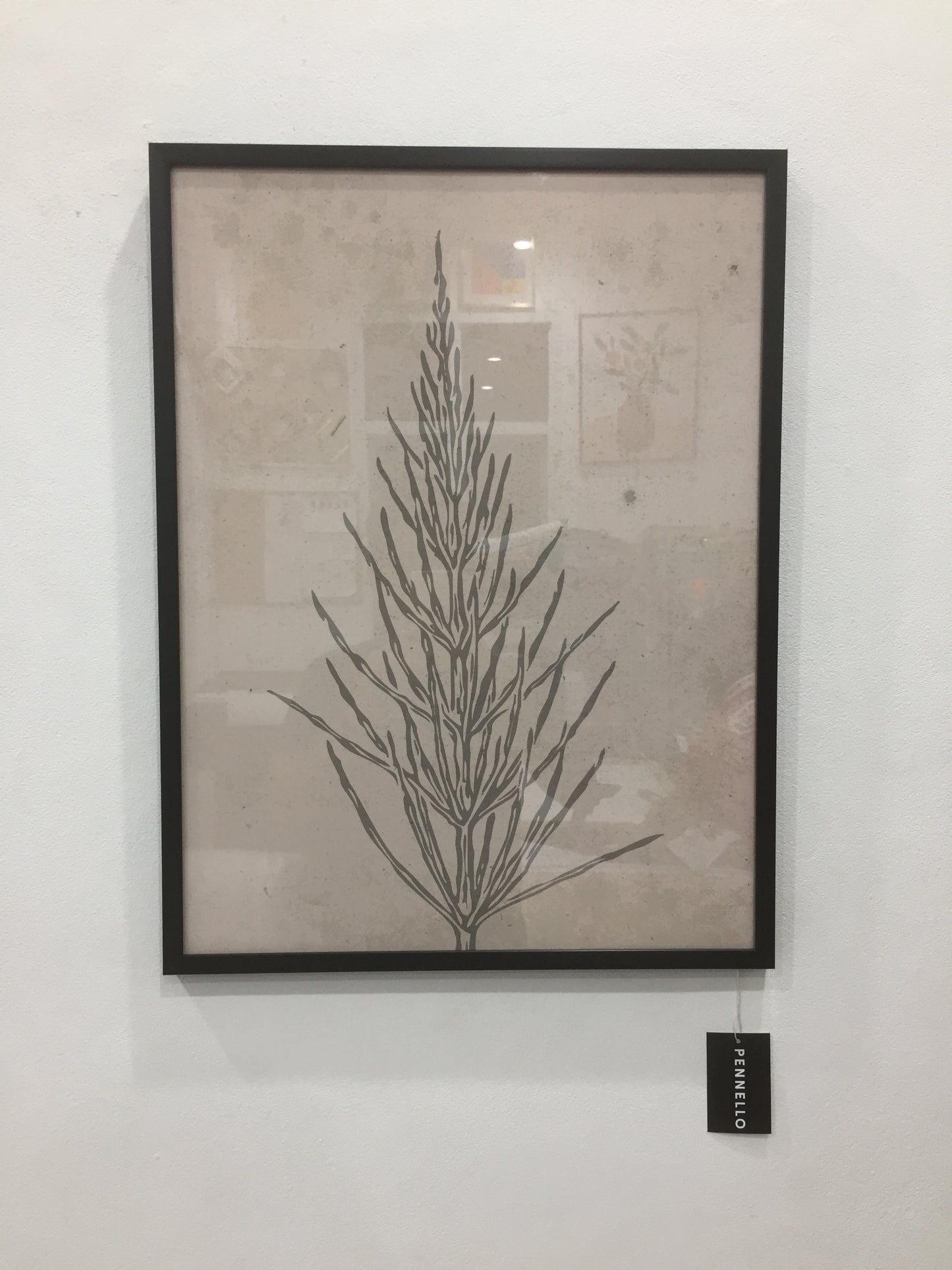 Set of botanical posters