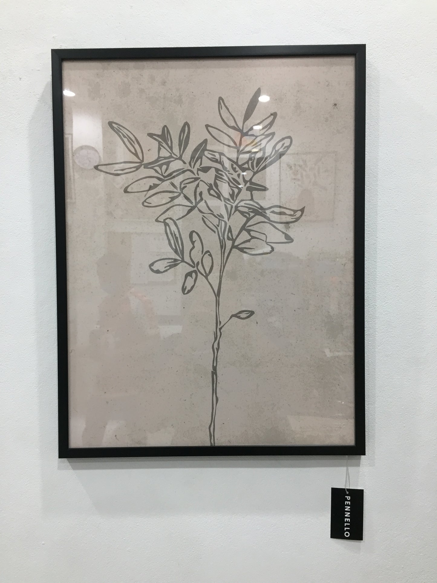 Set of botanical posters