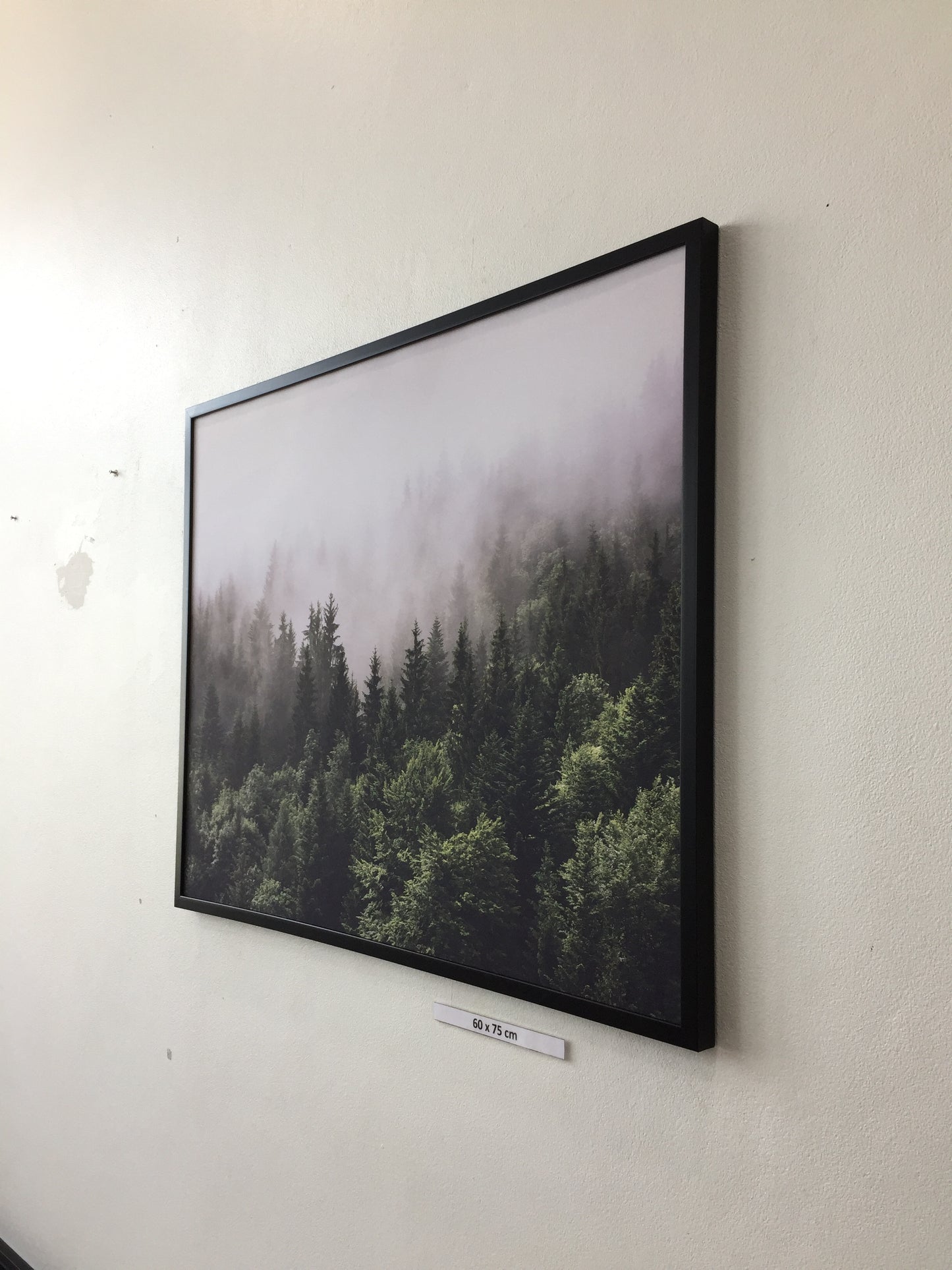 Forested mountain slope