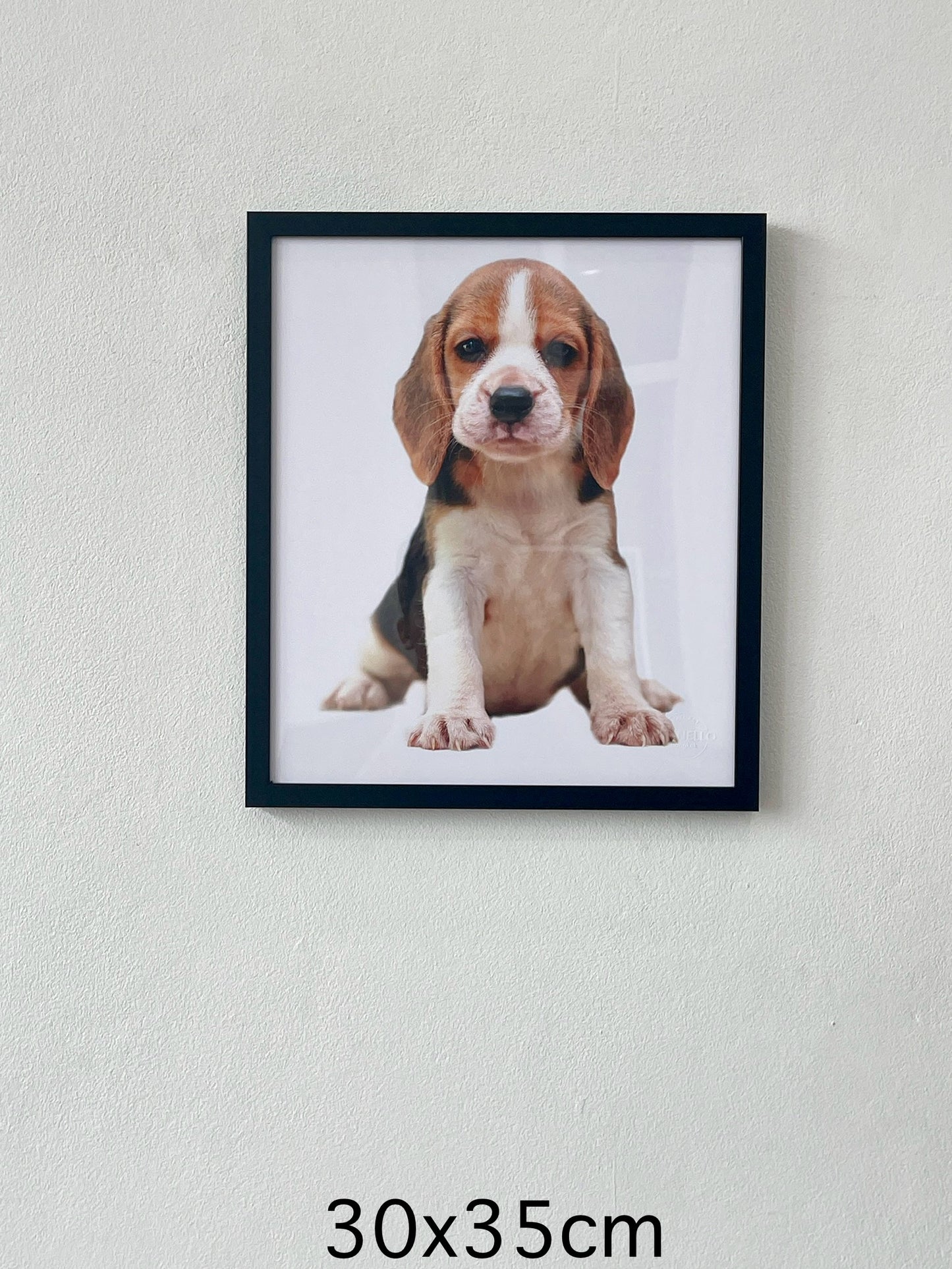 cute beagle
