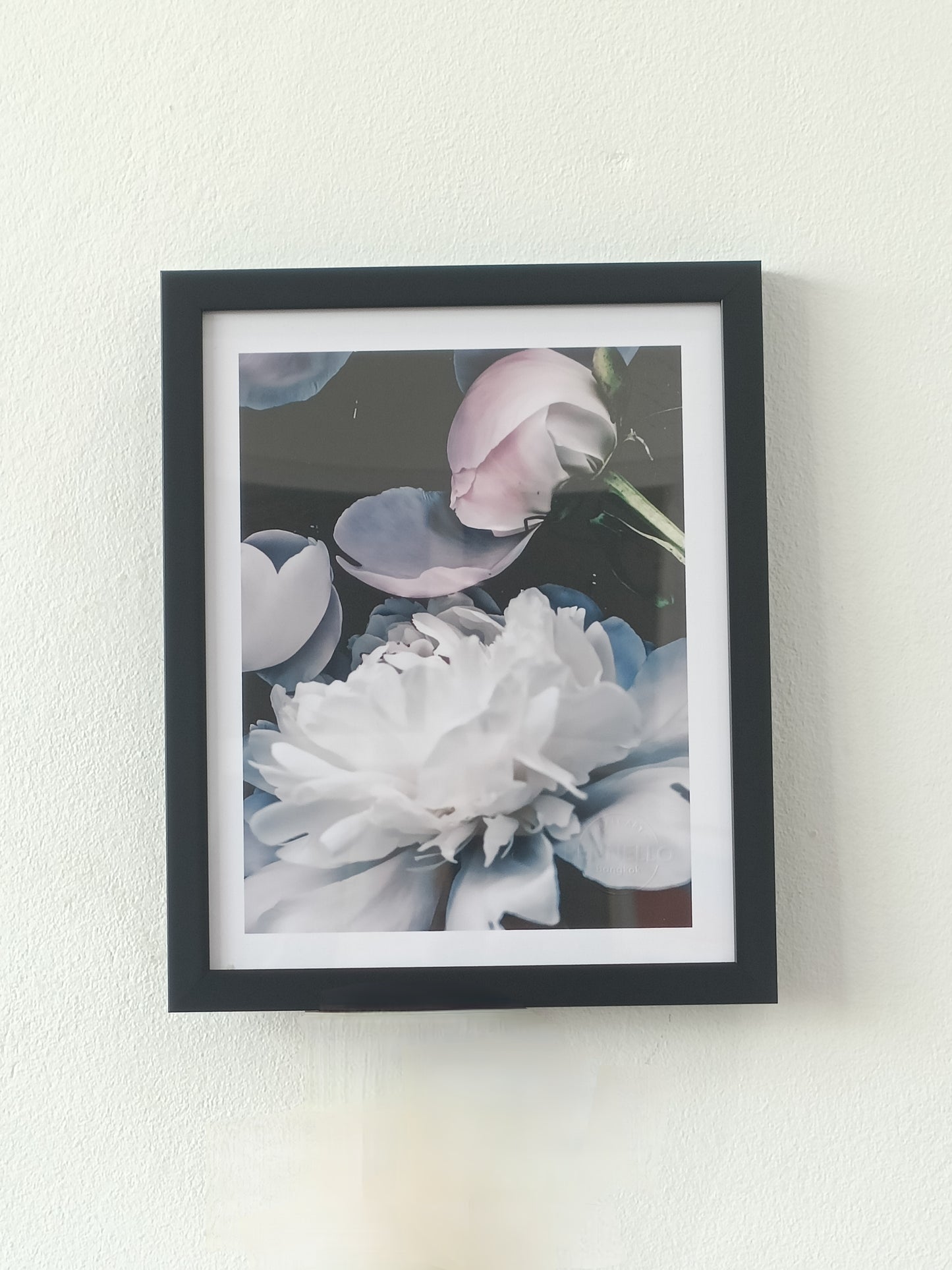 Peony Flowers