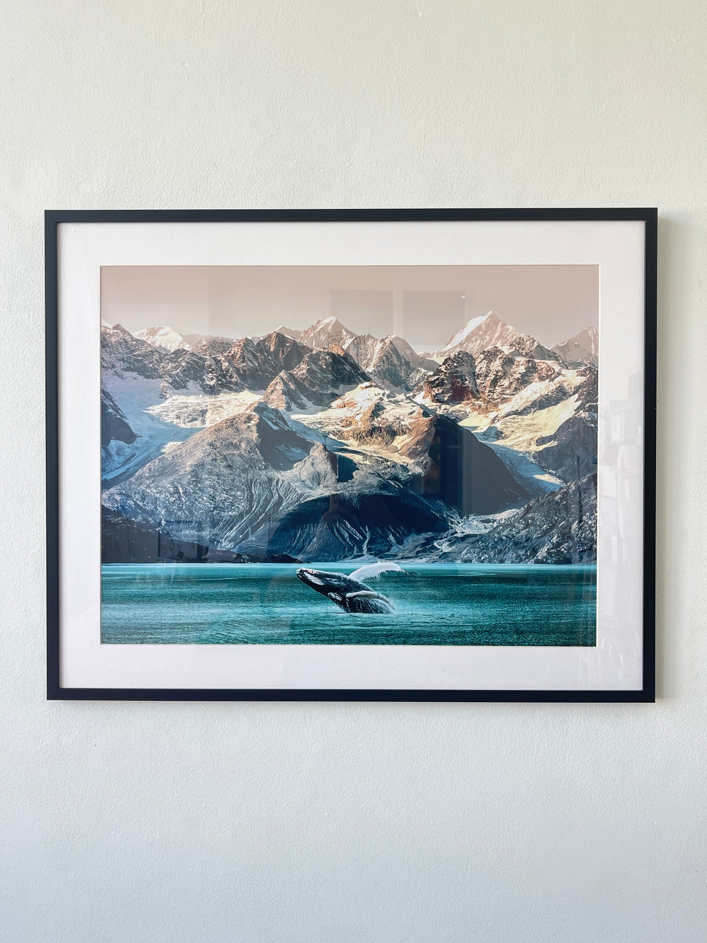Alaska whale