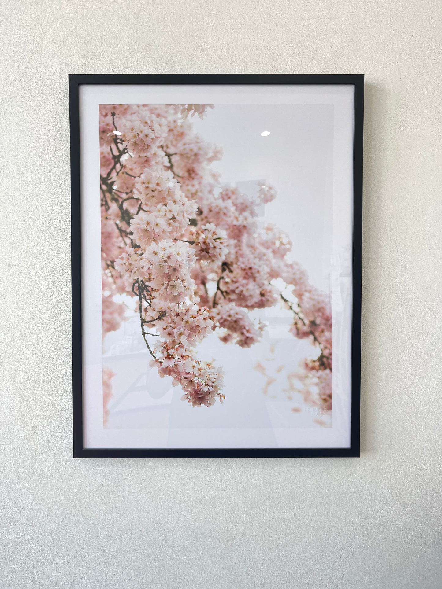 Romantic Flower series2