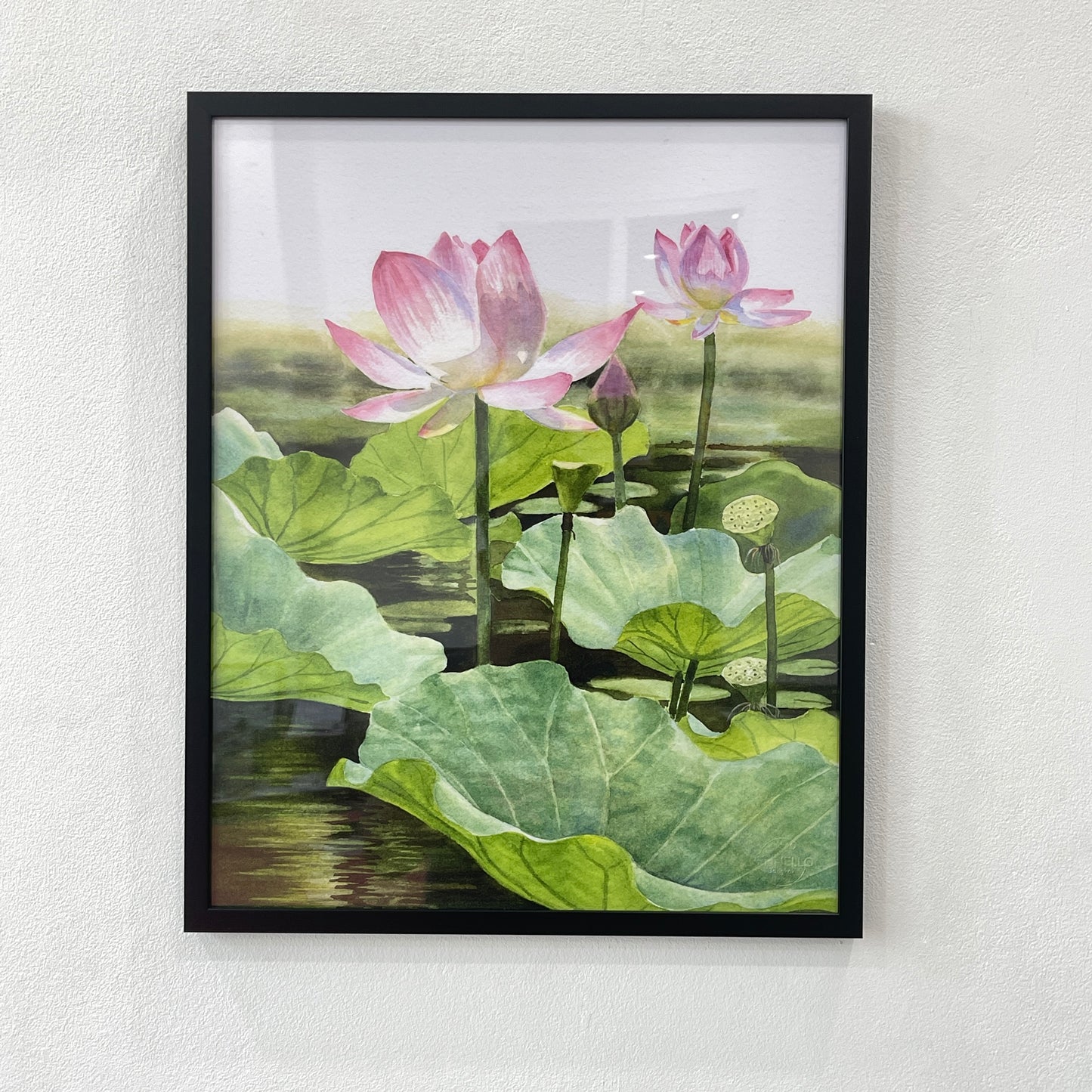 Pink Lotus