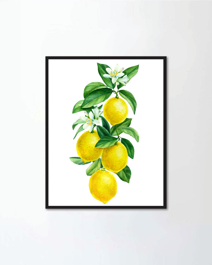 Lemon I