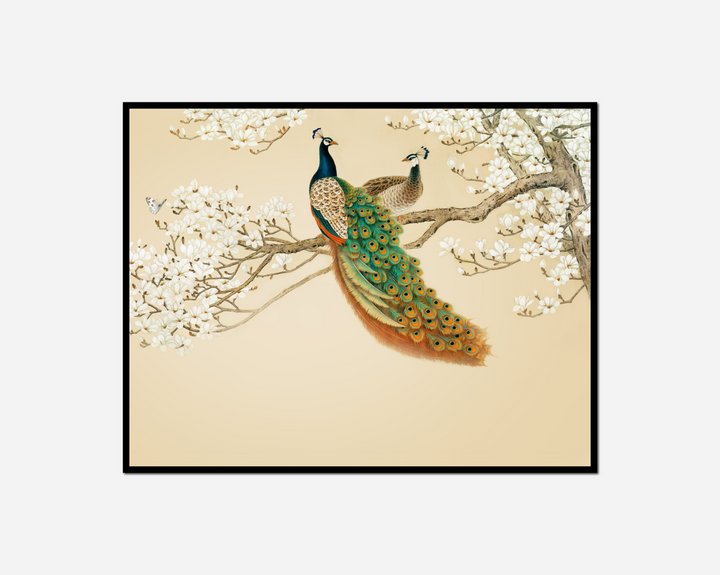 peacock sitting branch tree