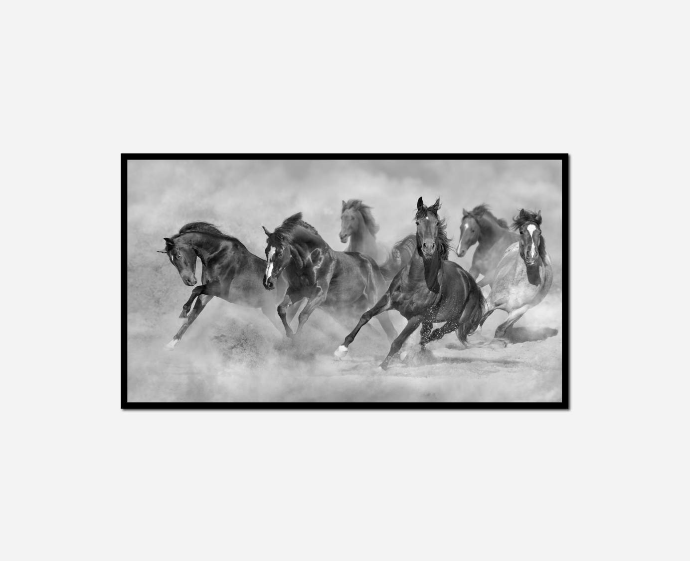 close group horses running snow
