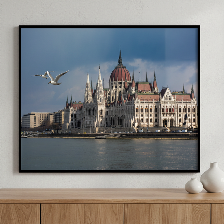 Building seagull flying over