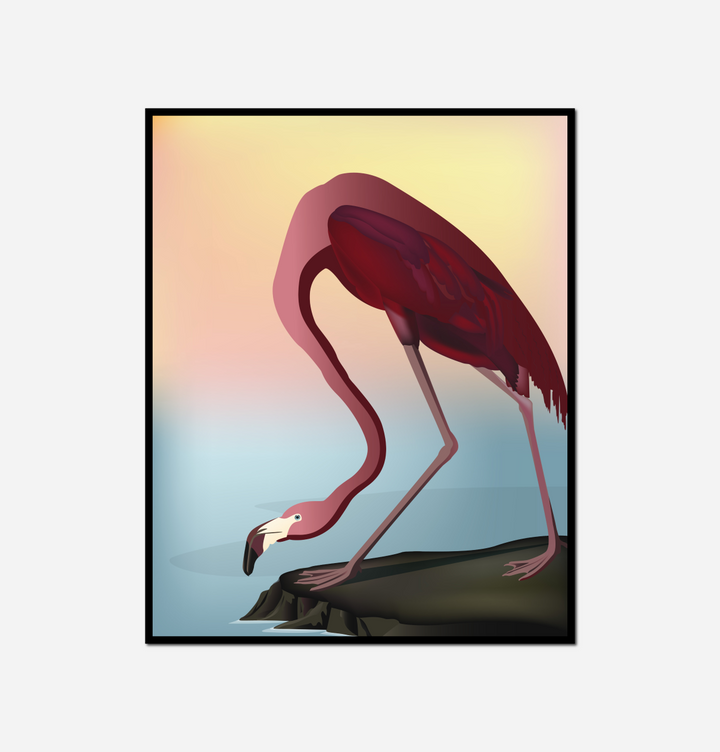 pink flamingo standing rock by water