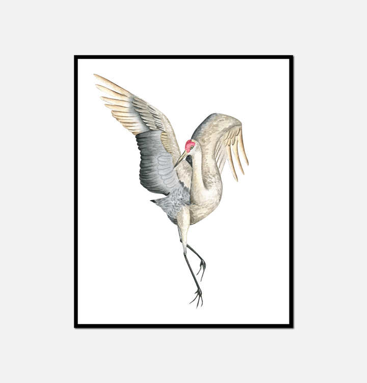 bird its wings spread out its wings spread