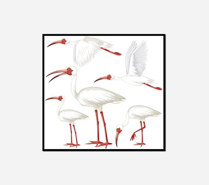 many birds standing together group