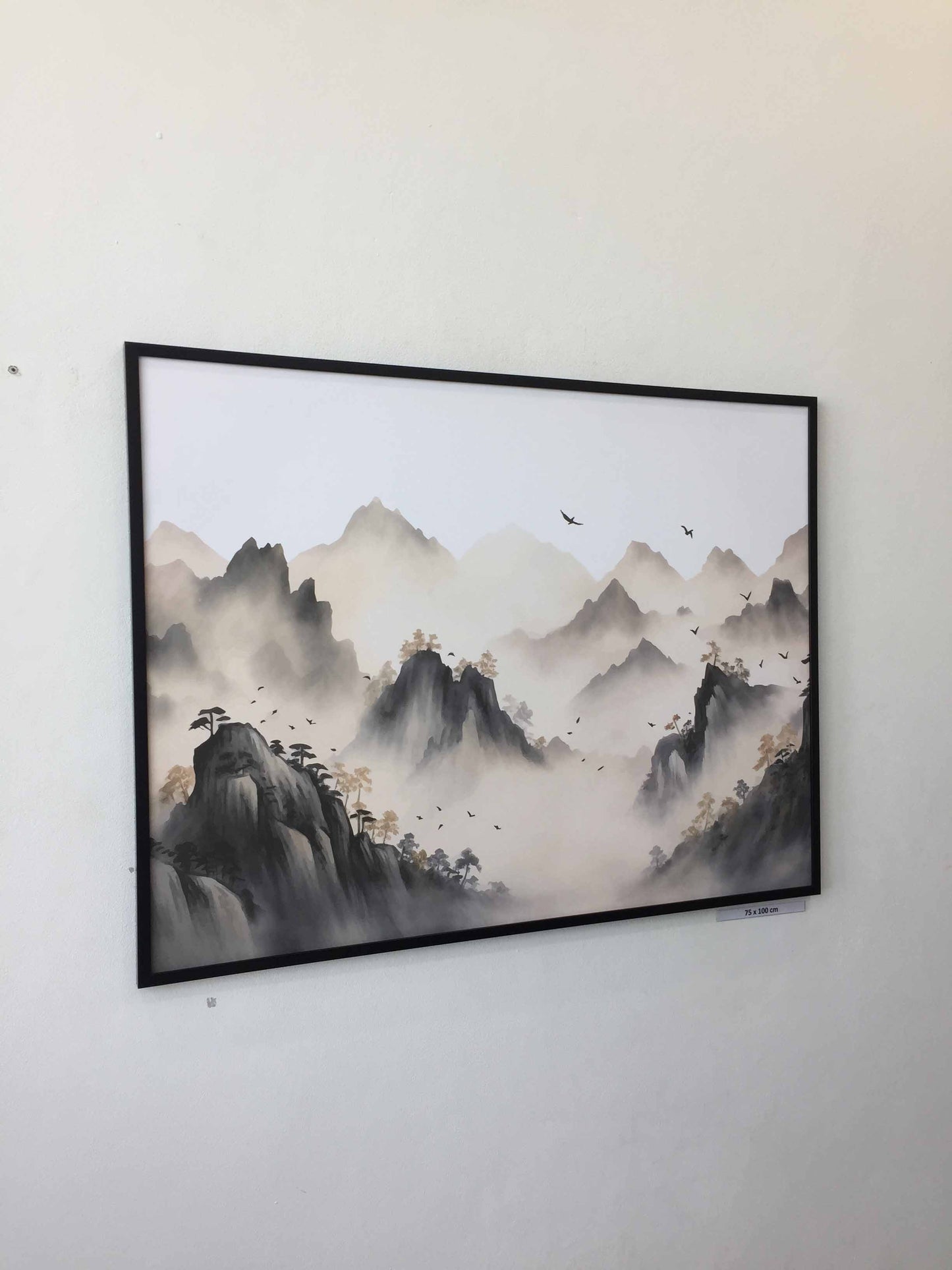 mountain landscape birds flying over