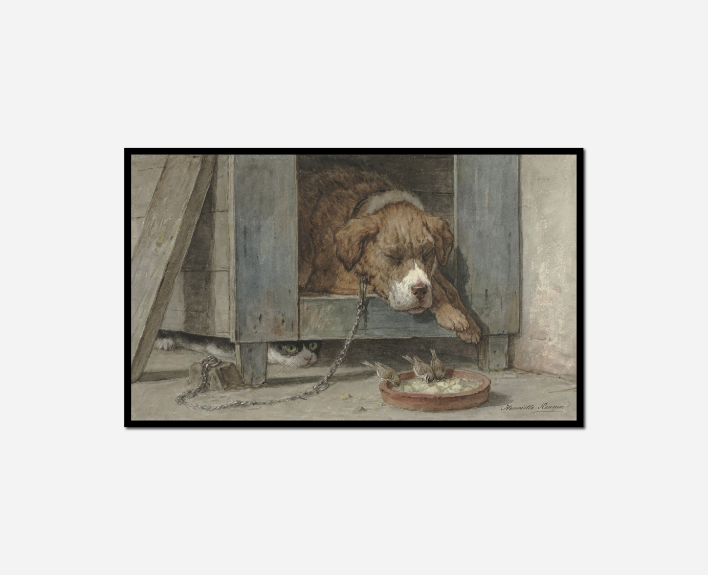 dog looking out window