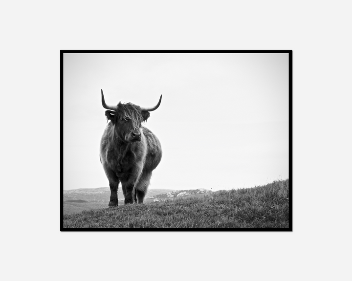 close spiral staircase black white