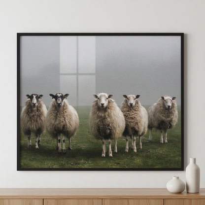 Five sheep in a field ภาพติดผังสไตล์นามธรรม สำหรับตกแต่งบ้านและคอนโด พร้อมกรอบคุณภาพ