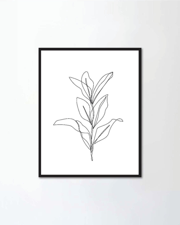 Continuous Line Drawing of Leaves
