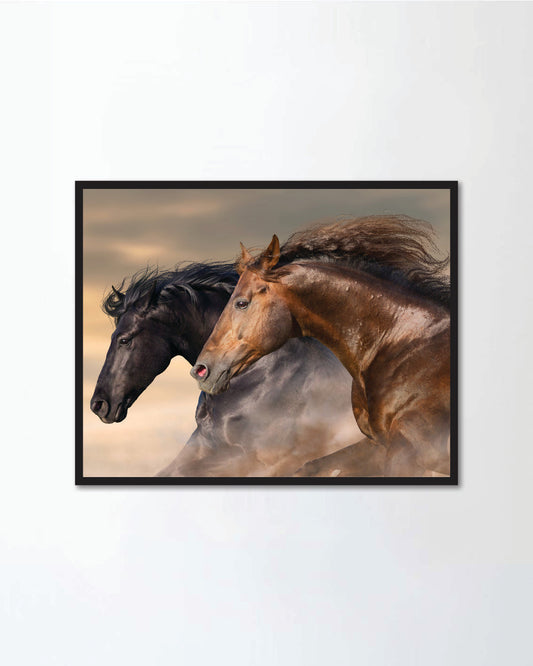 Two horse run free close up