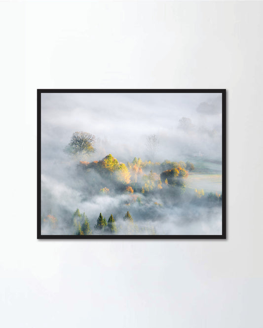Misty Foggy Autumn landscape