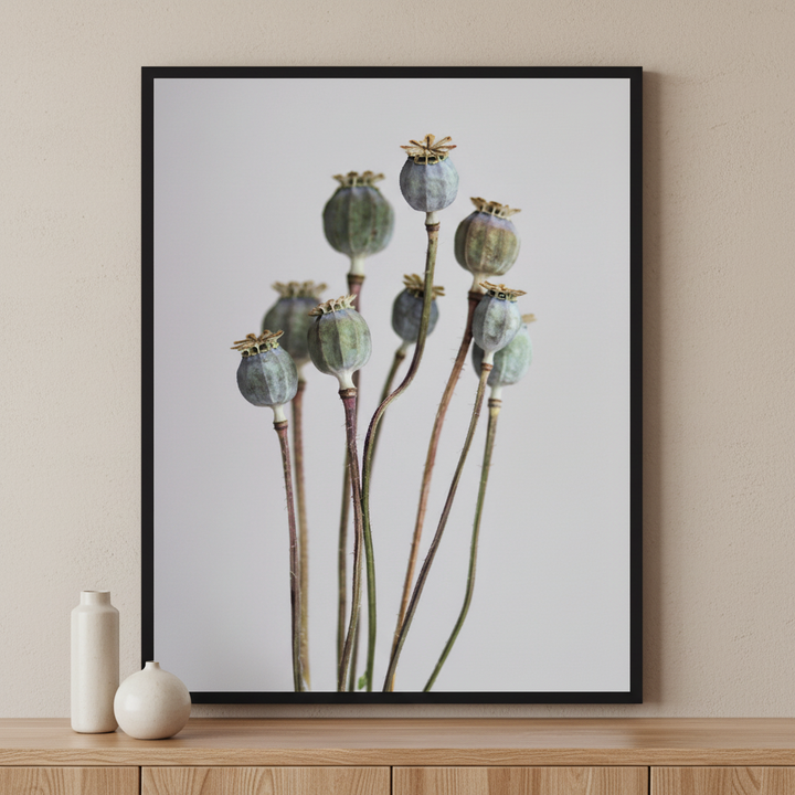 Dry poppy flowers on a light ภาพติดผังสไตล์สแกนดิเนเวีย สำหรับตกแต่งบ้านและคอนโด พร้อมกรอบคุณภาพ