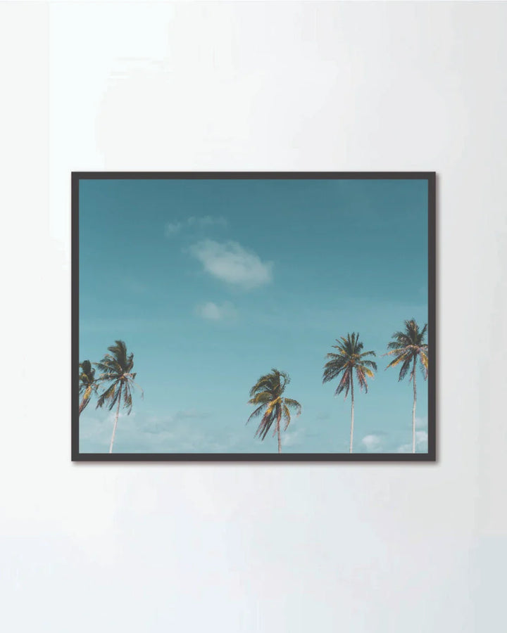 Minimal tropical coconut palm tree
