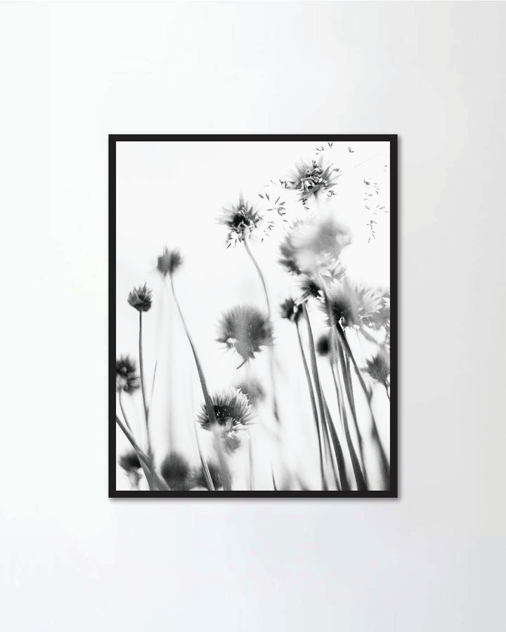 Small flowers shot from beneath