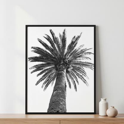 A close-up on a palm tree on a summer day ภาพติดผังสไตล์ธรรมชาติ สำหรับตกแต่งบ้านและคอนโด พร้อมกรอบคุณภาพ