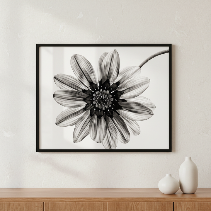 Flower in black and white on white background ภาพติดผังสไตล์สแกนดิเนเวีย สำหรับตกแต่งบ้านและคอนโด พร้อมกรอบคุณภาพ