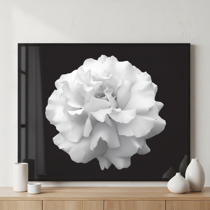 Black and white flower rose ภาพติดผังสไตล์สแกนดิเนเวีย สำหรับตกแต่งบ้านและคอนโด พร้อมกรอบคุณภาพ