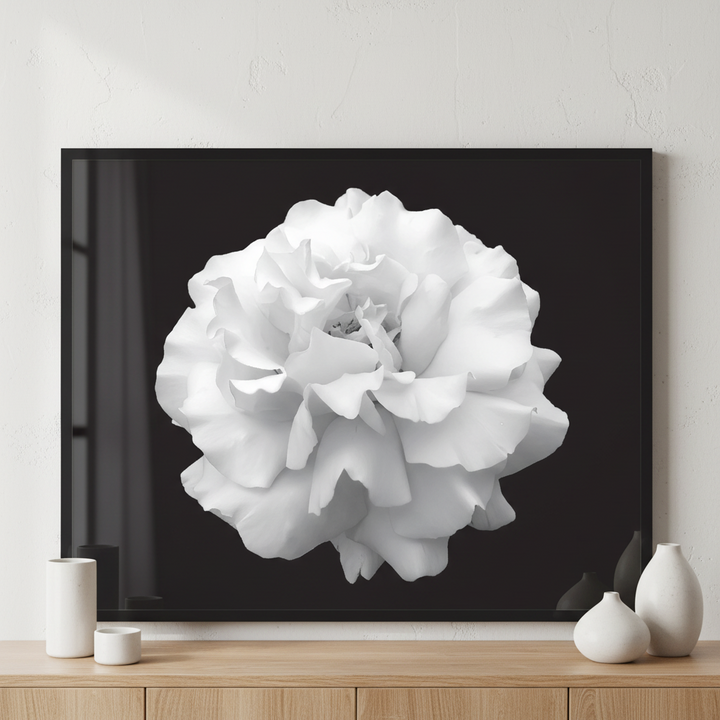 Black and white flower rose ภาพติดผังสไตล์สแกนดิเนเวีย สำหรับตกแต่งบ้านและคอนโด พร้อมกรอบคุณภาพ